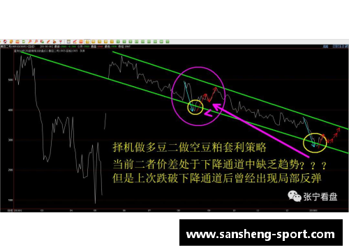 NBA赌球：策略、风险与胜算分析