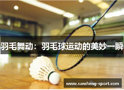羽毛舞动：羽毛球运动的美妙一瞬